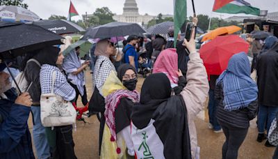 Estados Unidos: siguen las protestas a favor de la causa palestina en varias ciudades