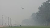 Nueva Deli trata de rebajar la contaminación en el aire