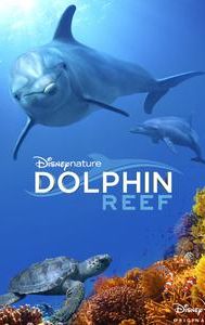 Dolphin Reef