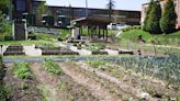 Asheville Southside Community Farm staff told they 'cannot be' on property after 2024