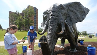 'Show some love' — Tembo the bronze elephant takes her annual bath