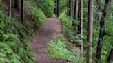 Massachusetts man dies after suffering medical condition on Cedar Brook Trail in Lincoln, NH