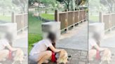 【慎入】台北市大湖公園驚見柴犬咬死綠頭鴨 飼主行為引眾怒