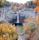 Taughannock Falls State Park