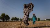 Islamic Insurance Helps Cover Muslim Farmers Battling Climate Change