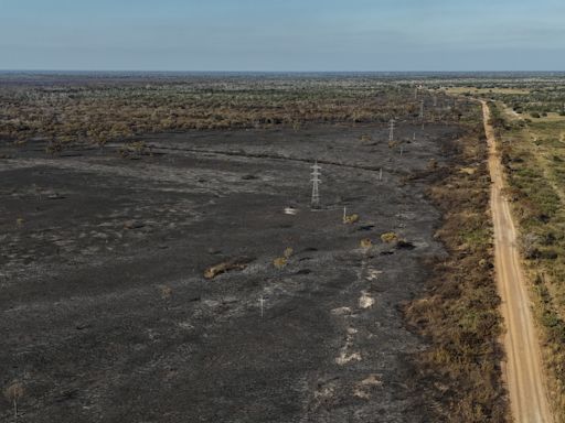 El humedal del Pantanal perdió un 61 % de su área acuática por la sequía y los incendios