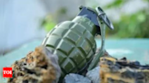Rusted grenade, old mortar shell recovered in Jammu region | India News - Times of India