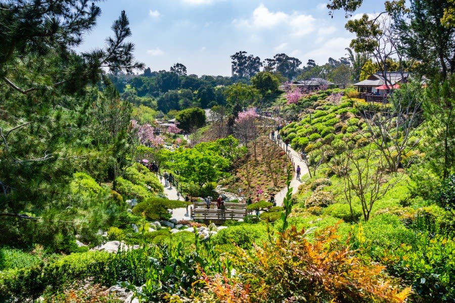 These gardens capture the beauty of the San Diego area