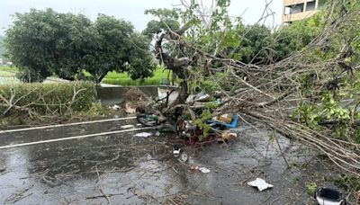 郵差冒雨送信死亡！中華郵政痛悼 下令「遇強降雨可暫緩投遞」