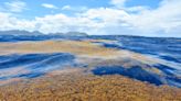 8,000-km seaweed patch is heading to popular beaches ahead of tourist season