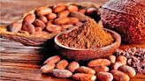 Cacao, tesoro milenario celebrado a nivel mundial