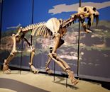 Smilodon