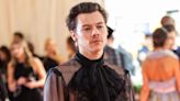 Harry Styles Wants More ‘Tender’ Sex in Gay Films, Proving He’s Never Seen Any — Opinion