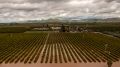 California farms grapple with flooded fields, ‘hundreds of millions' in damage