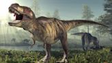 Estudio revela que el temible T-Rex pudo ser un 70% más pesado