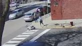 'Why?!' COPA releases video of off-duty Chicago cop shooting dog in head