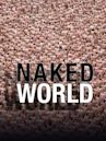 Naked World: America Undercover