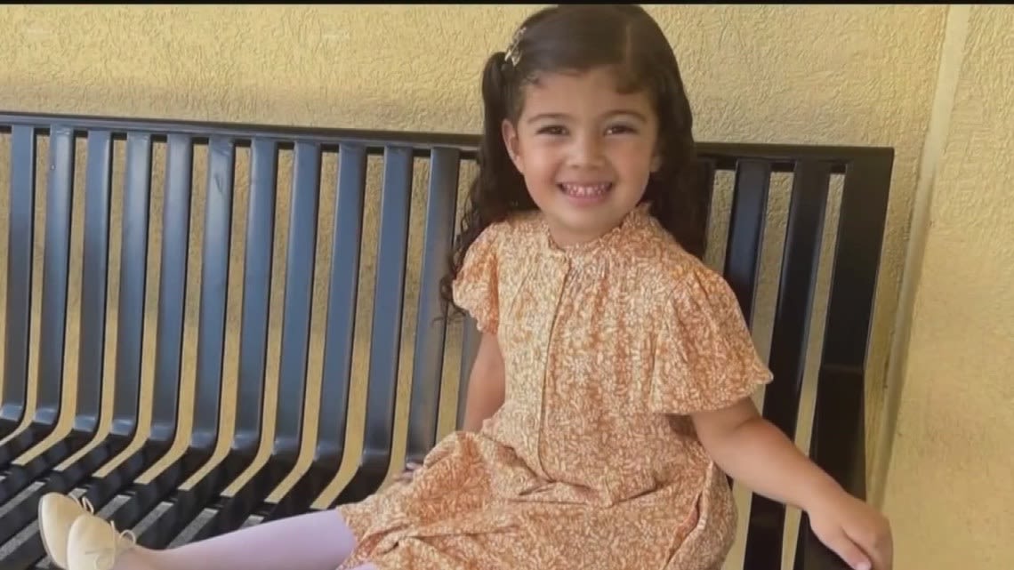 WATCH LIVE: Gwinnett DA to provide update after 4-year-old girl hit, killed in Mall of Georgia's parking lot