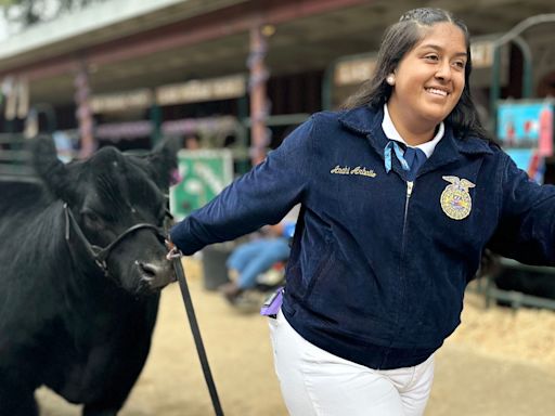 The Ventura County Fair starts Wednesday; here's what you need to know