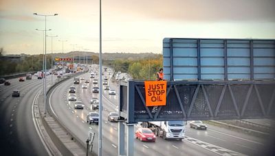 Jailing of Just Stop Oil protesters ‘direct theft of freedom’ – Chris Packham