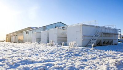 Tierra del Fuego adelantó y extendió las vacaciones de invierno “por la intensa ola de frío”