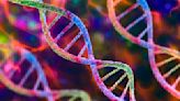 Promoción relámpago: Este Kit de ADN te ayudará a construir tu árbol genealógico