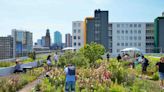 Ciudades jardín contra el déficit de naturaleza urbano