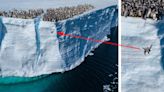 Watch Penguin Chicks Jump off 50-Foot Ice Cliff To Go for Their First Swim in Unprecedented Footage