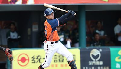 中職／獅隊9棒伏兵 許哲晏3打點獵鷹首獲MVP