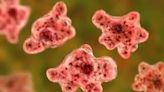 'Brain-eating' amoeba claims life of 22-year-old in Pakistan's Karachi, makes it third such case this year - ET HealthWorld