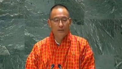 India deserves permanent UNSC seat: Bhutan | Business Insider India