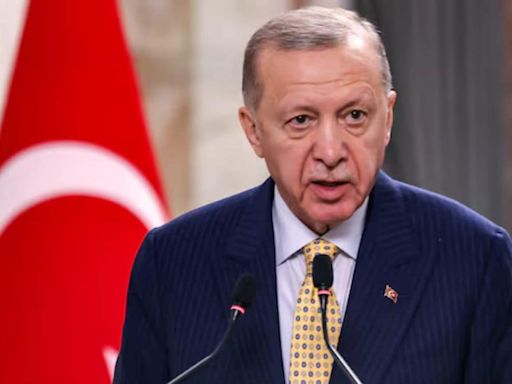 'Don't think Israel would stop in Gaza': Erdogan says Tel Aviv will 'set sights' on Turkey if Hamas is defeated