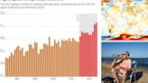 That didn't take long! Hottest world temperature record broken AGAIN