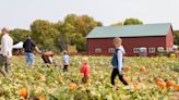 Here are 10 must-see pumpkin patches and corn mazes around Des Moines to visit this fall