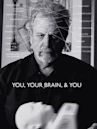 You, Your Brain, & You