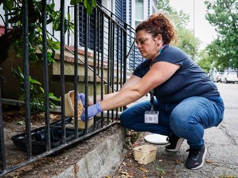 Will rodent birth control get rid of rats? A Jamaica Plain pilot program is exploring the idea. - The Boston Globe