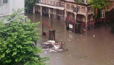 ..., Leptospirosis Can Intensify In Mumbai As The City Gets Flooded Due to Rains; Ways To Protect Yourself