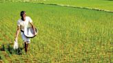 Insurance firms selected to provide relief to farmers