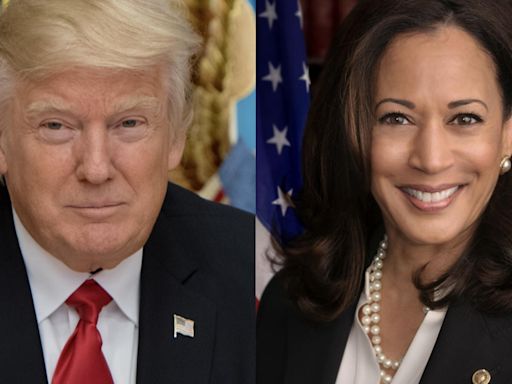 Shock Poll! 'Donald Trump Crushing Kamala Harris in Key Swing States'—Is the 2024 Election Already Decided? - EconoTimes