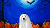 Dressing up your dog or cat for Halloween? Here are some dos and don'ts to keep them safe