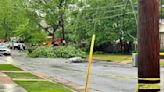 UPDATE: Storm damage, fallen trees blocking roads in multiple North Alabama counties