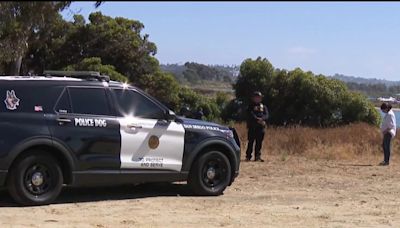 San Diego police arrest man in alleged Mission Bay kidnapping attempt, 2 suspects outstanding