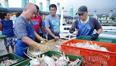 北海岸風箏節登場 富基魚港品蟹消費滿額送好禮