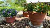 Let's Grow: Planter pots make flower gardening a breeze