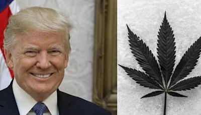 Trump's Nod Could Seal Florida's Marijuana Legalization Initiative, Says Longtime Ally Roger Stone