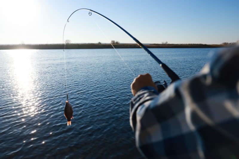 Half a dozen anglers banned from fishing in PA due to five years of poaching