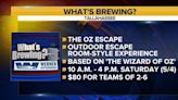 What’s Brewing - The Oz Escape: an interactive Tallahassee experience