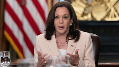 Si soy nominada a candidata, haré todo lo que esté en mis manos para ganar las elecciones: Kamala Harris | El Universal