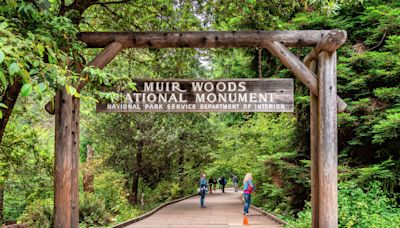 Body found in Muir Woods in 1982 identified as San Francisco man