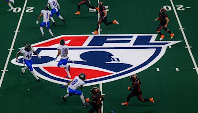 Albany Firebirds confident in franchise's future despite Arena Football League's issues